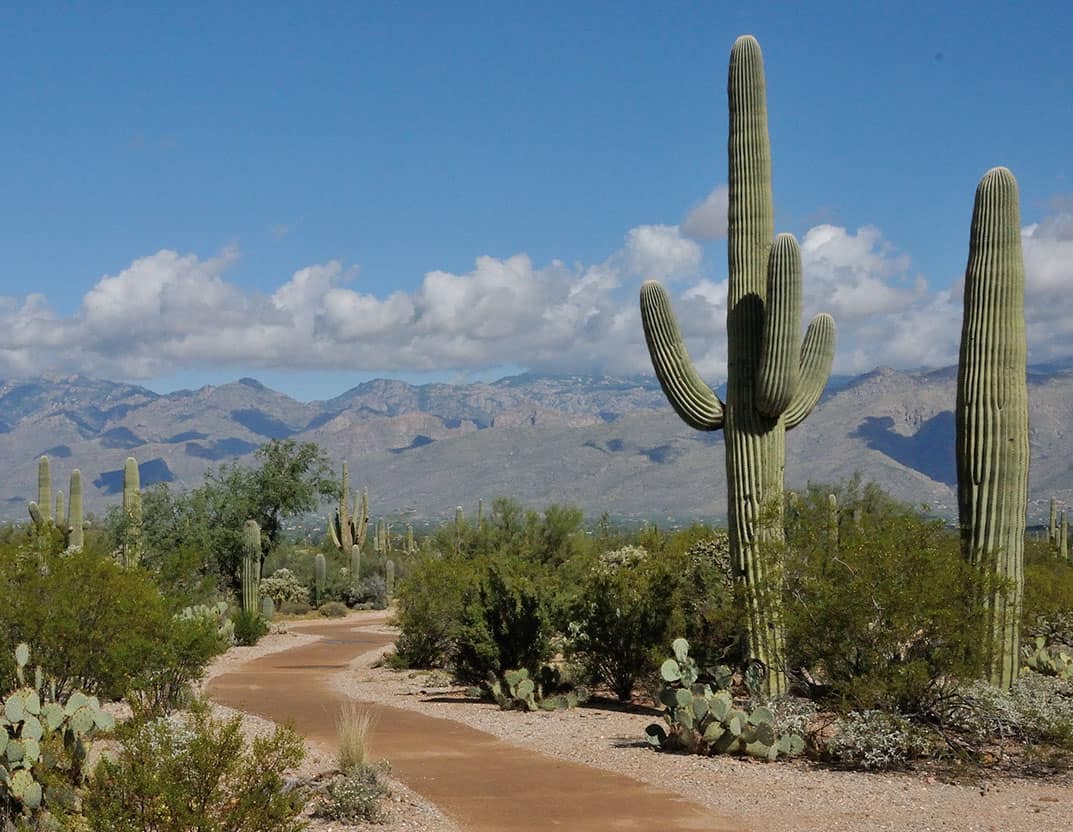 Lodge On The Desert Tucson Hotels photo